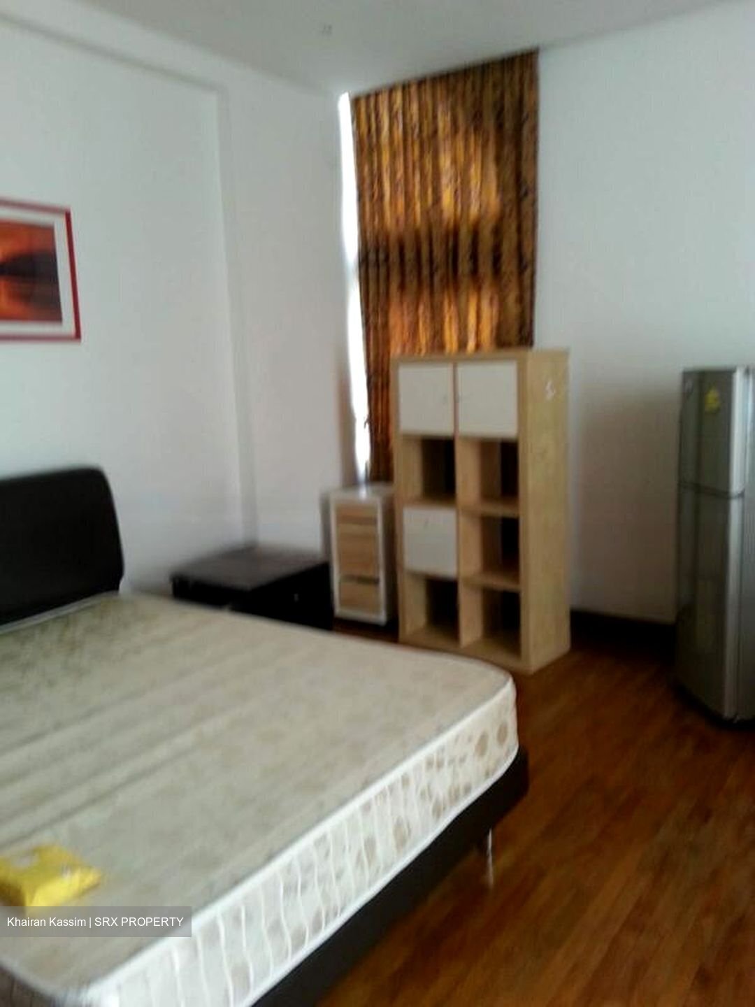 Parc Vista (D22), Condominium #460573231